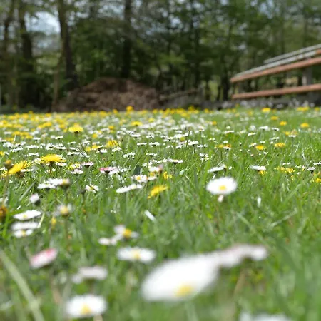 Διαμέρισμα Futterkueche Haselünne