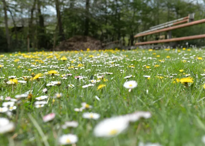 公寓 Futterkueche Haselünne